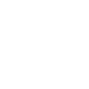 Icon of a delivery truck with motion lines behind it, indicating fast or express delivery. The image is simple and uses bold, minimalistic shapes.