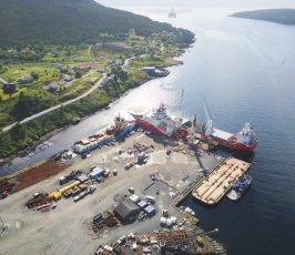 Aerial view of a coastal port with two large cargo ships docked, surrounded by industrial materials, cranes, and buildings, with a hilly green landscape and scattered houses in the background near the water.