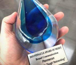 A hand holds a blue, teardrop-shaped glass award. The plaque reads: "2019 PINNACLE AWARD OF MERIT, Brand Communication, Pennecon, 