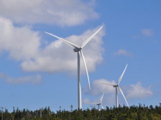 Two large white wind turbines stand on a forested hill under a bright blue sky with scattered clouds.