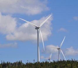 Two large white wind turbines stand above a forested landscape under a blue sky with scattered clouds.